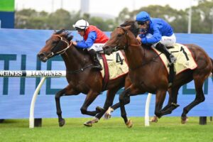 2022 Hobartville Stakes winner Anamoe. Photo: Steve Hart.