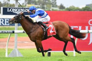 2022 Silver Slipper Stakes winner Best Of Bordeaux. Photo: Steve Hart.