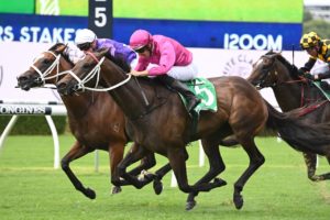 2022 Light Fingers Stakes Winner Fangirl