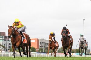 2022 Hobart Cup winner Ho Ho Khan (pictured in Melbourne). Photo: Ultimate Racing Photos.