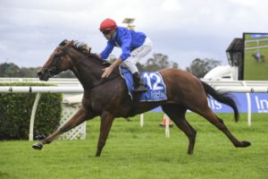 PJ Bell Stakes Winners (Rubisaki) | Photo: Steve Hart | Neds