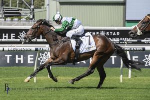 ATC Carbine Club Stakes Winners (Entente) | Photo: Steve Hart | Neds