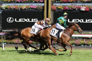 2022 Newmarket Handicap Winner Roch 'N' Horse