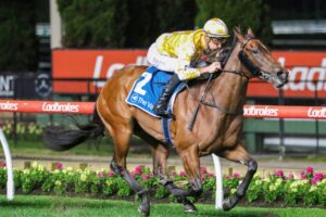 2022 Black Opal Stakes Winner Queen Of The Ball