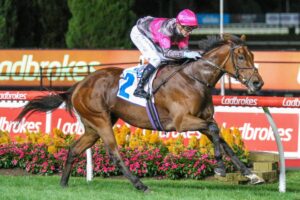 2023 Sunline Stakes winner Sirileo Miss