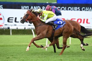 2022 Challenge Stakes Winner Eduardo.