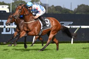 2022 George Ryder Stakes Winner Forbidden Love