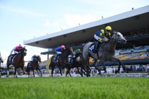 2022 Coolmore Classic Winner Lighthouse