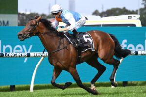 2022 Ranvet Stakes Winner Montefilia
