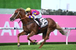 2022 Phar Lap Stakes Winner Mr Mozart