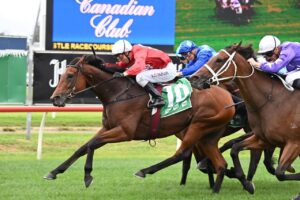 2022 Emancipation Stakes winner Promise Of Success. Photo: Steve Hart.
