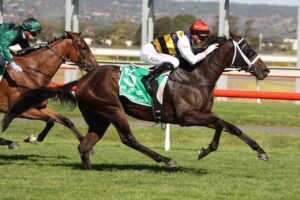 2022 Adelaide Cup Winner Daqiansweet Junior