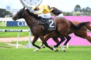 2022 Pago Pago Stakes winner Rise Of The Masses
