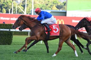 2022 PJ Bell Stakes winner Heresy