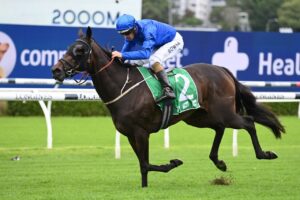 2022 Adrian Knox Stakes winner Honeycreeper. Photo: Steve Hart.