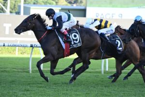 2022 Doncaster Mile Winner Mr Brightside