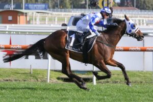 2019 Queensland Derby winner Mr Quickie