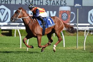 2022 TJ Smith Stakes Winner Nature Strip