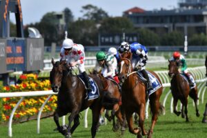 2022 Percy Sykes Stakes winner Paris Dior
