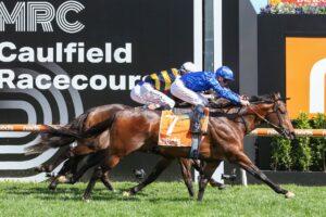 2022 Winx Stakes winner Anamoe