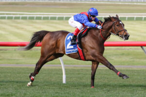 Zaaki | Photo: Ultimate Racing Photos | Neds