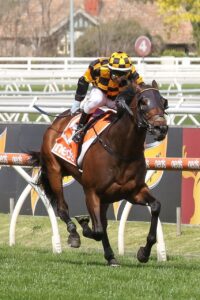 2021 Caulfield Stakes Winner Probabeel