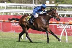 2020 Thousand Guineas Winner Odeum 