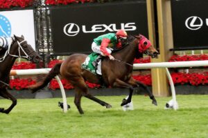 2021 Ballarat Cup Winner Zayydani