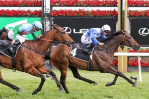 2022 Champions Mile winner Alligator Blood