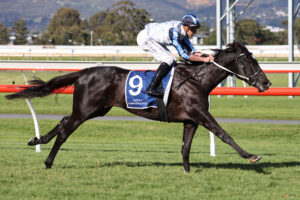 2023 RA Lee Stakes winner Foxy Frida