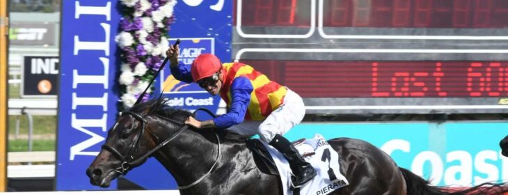 Pierata Is The Magic Millions 3YO Guineas Winner Neds Blog
