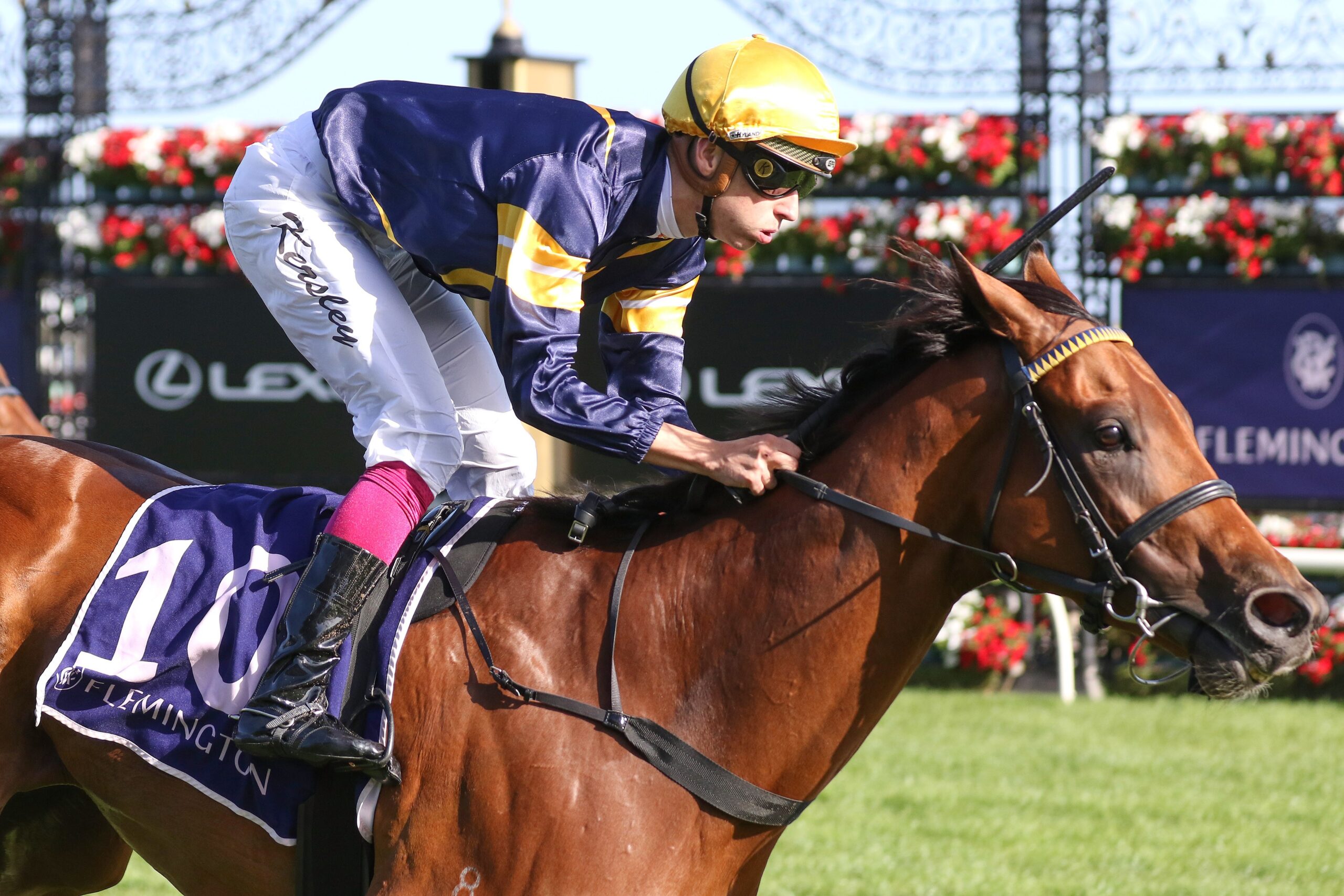 2020 Aurie's Star Handicap Day Tips & Preview