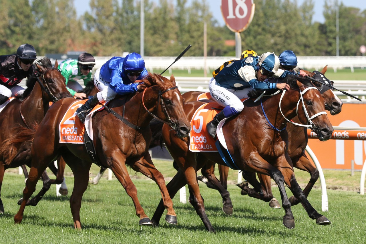 2021 Australian Guineas Tips Neds Blog