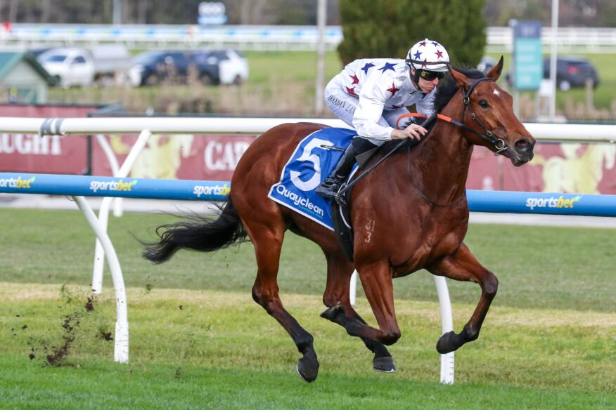 AJ Moir Stakes 2026 Betting Tips, Predictions & Favourites