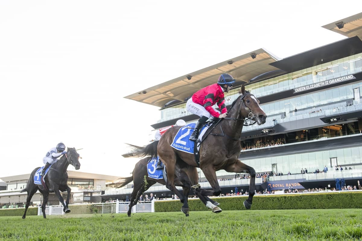 2026 Missile Stakes winner Ninja