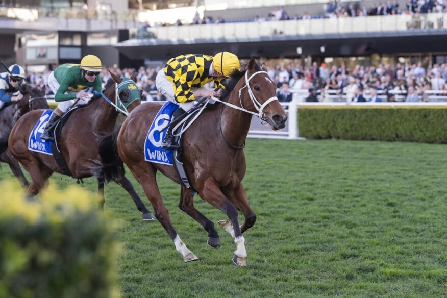 7 Stakes 2026 Betting Tips, Predictions & Favourites