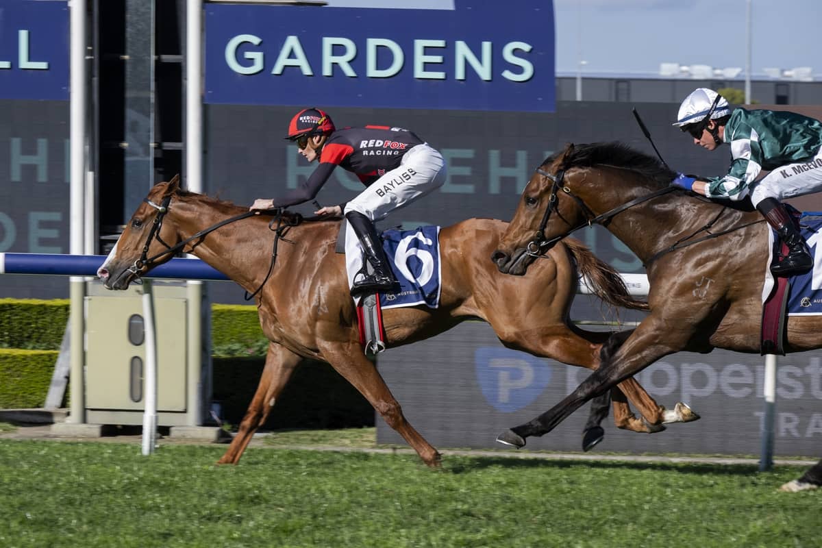 2026 Up And Coming Stakes winner Plagiarism