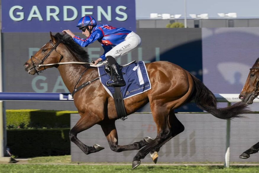 Golden Rose Stakes 2026 Betting Tips, Predictions & Favourites