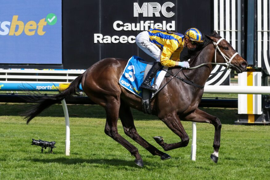 Caulfield Guineas 2026 Betting Tips, Predictions & Favourites