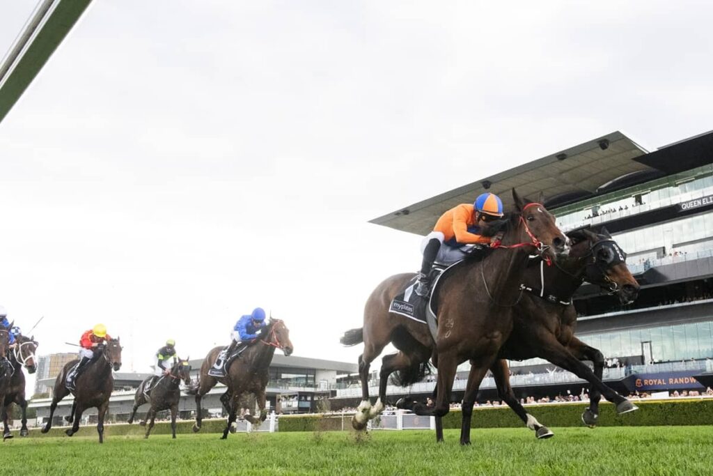 2026 Tramway Stakes winner Headley Grange