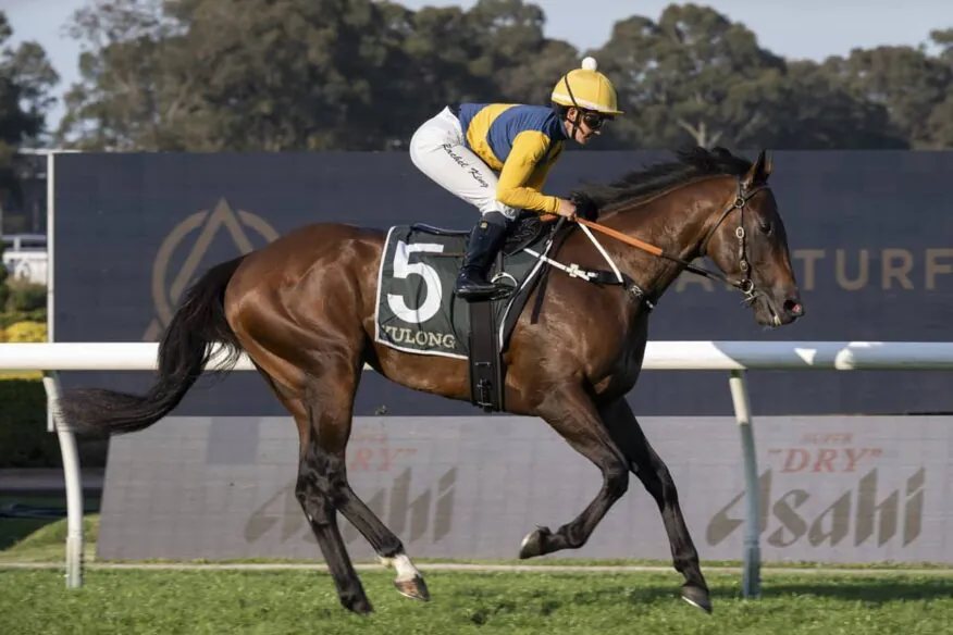 2026 Caulfield Guineas Day Tips & Preview