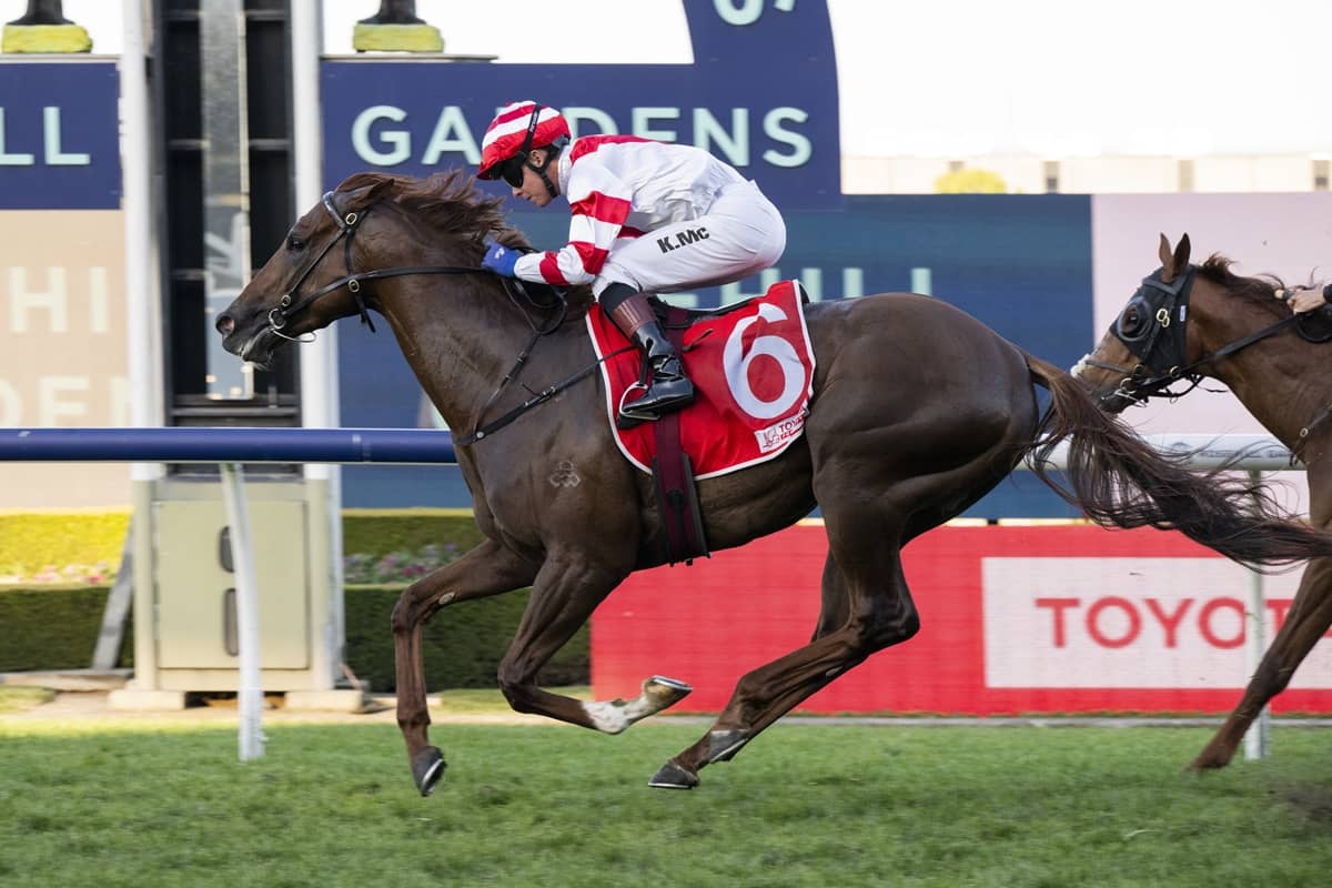 2026 Theo Marks Stakes winner Skyhook