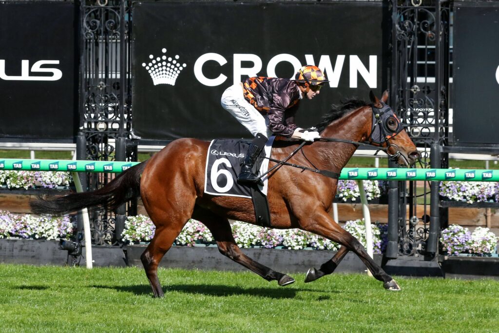 2025 Lexus Stakes winner Shockletz