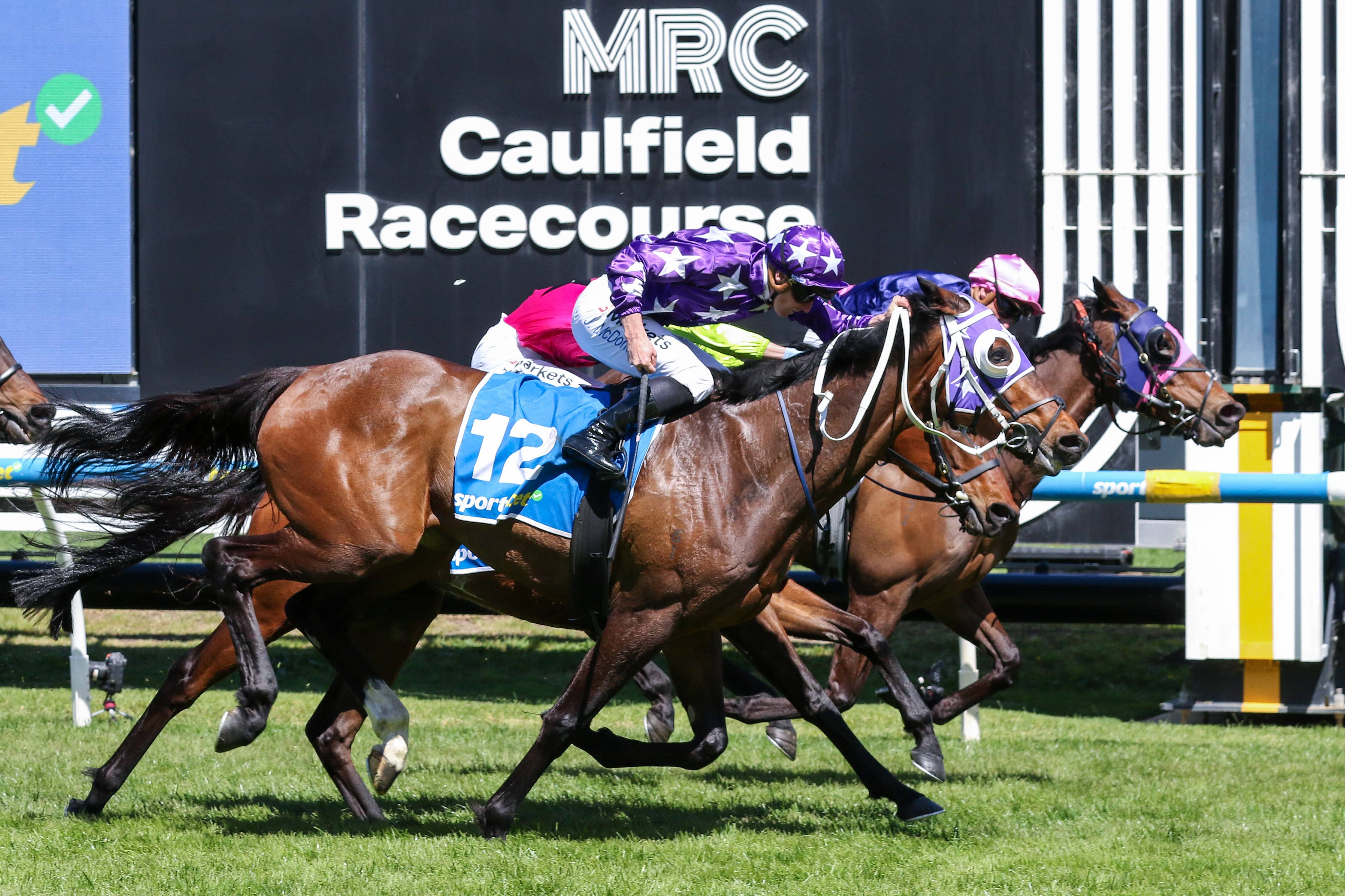 2026 Herbert Power Stakes winner Pinhole
