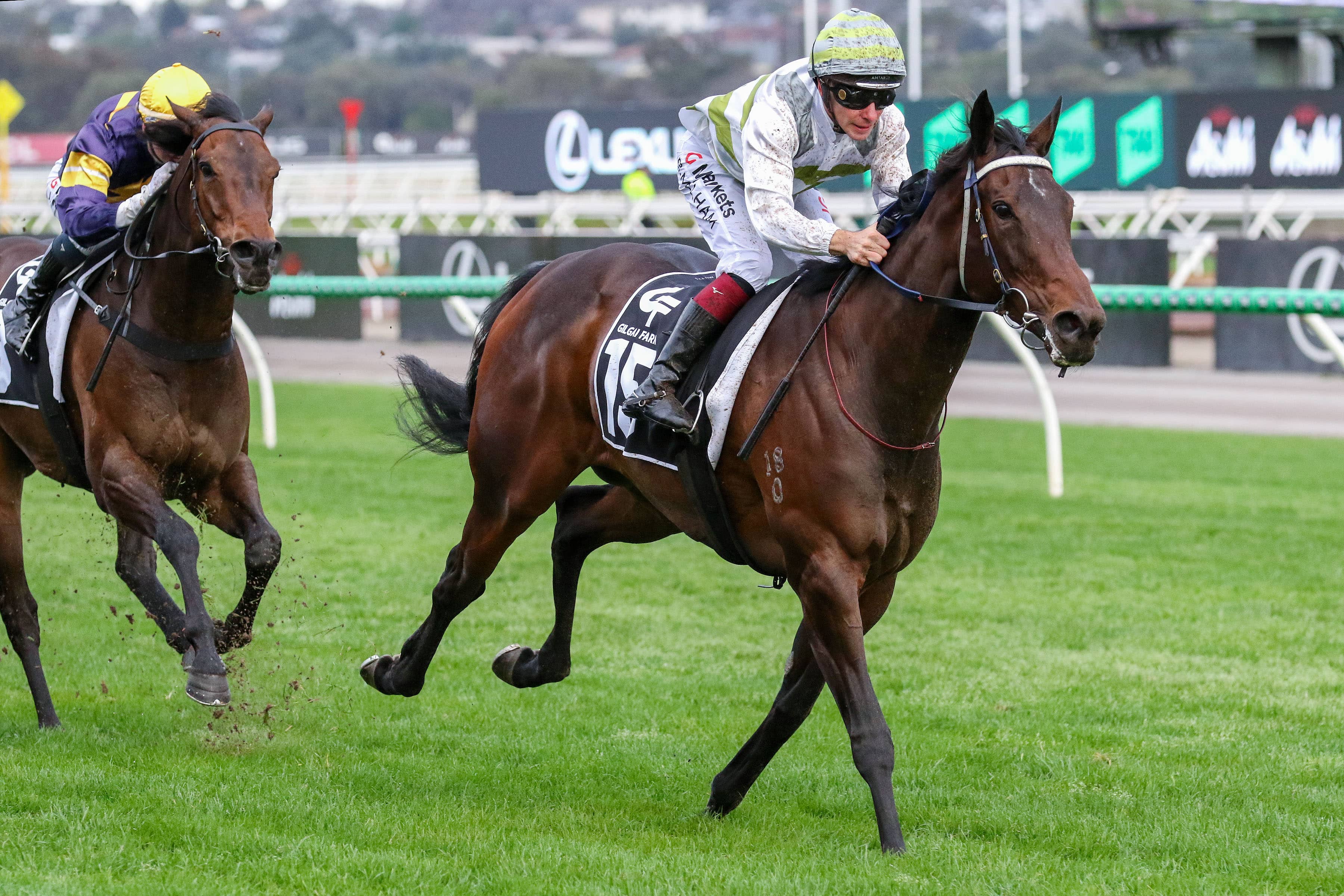 2026 Gilgai Stakes winner Skybird