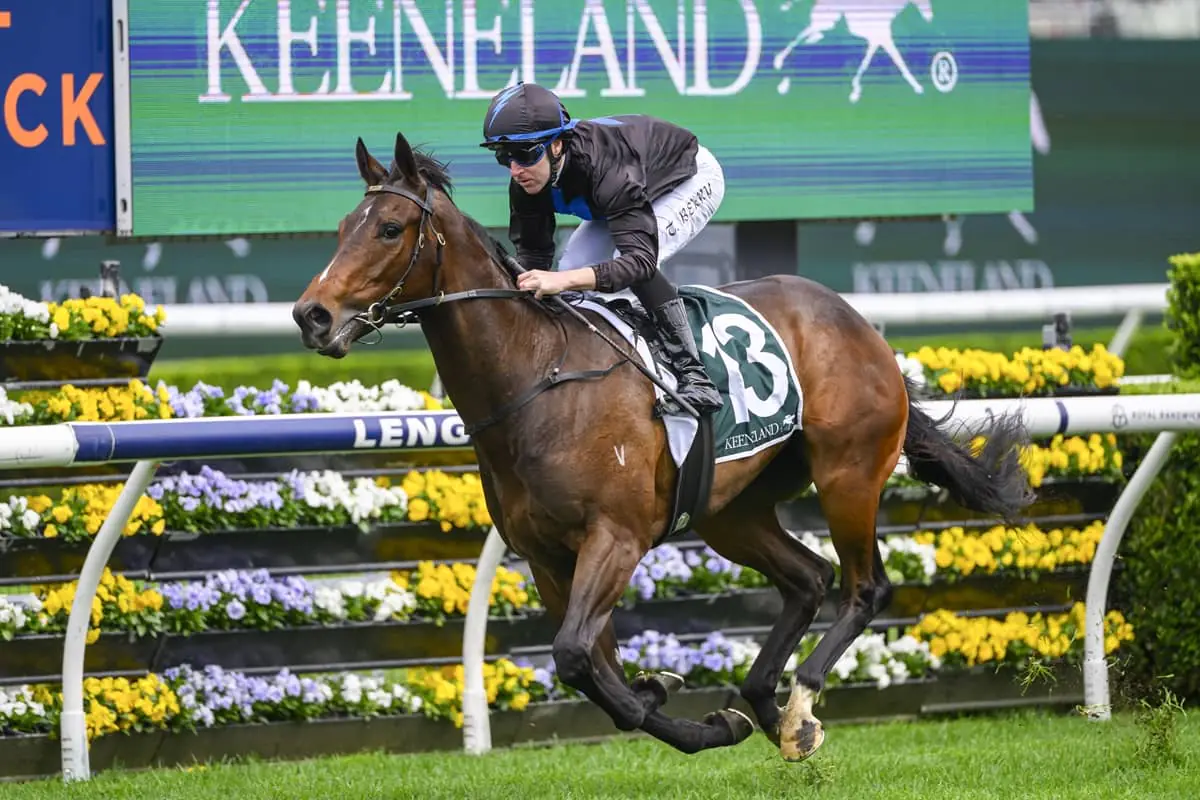 2026 Gimcrack Stakes winner Shraddha