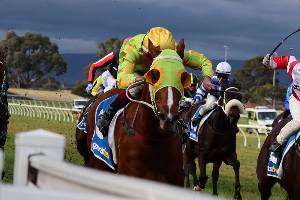 2026 Behemoth Stakes winner Sir Now
