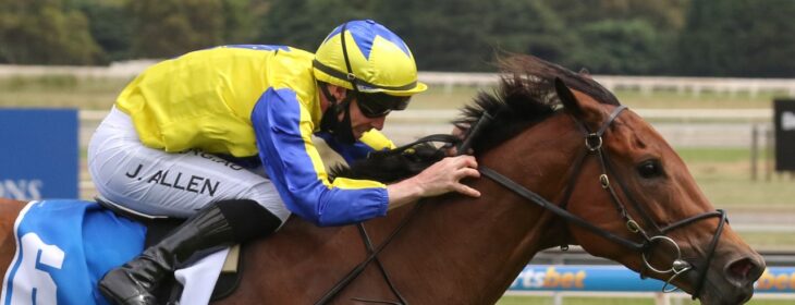 2022 Memsie Stakes Tips Neds Blog