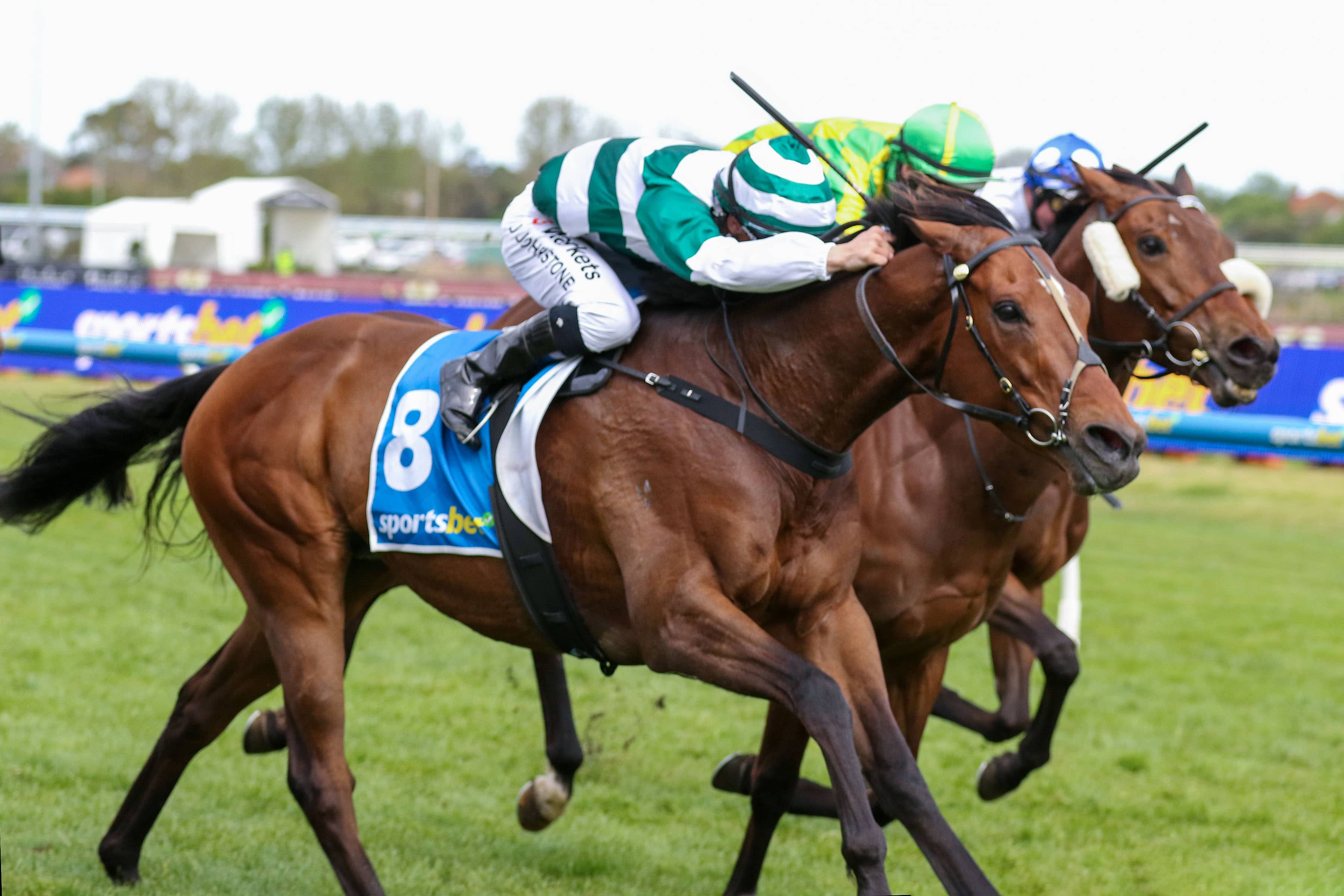2026 Coongy Cup Winner Ziryab