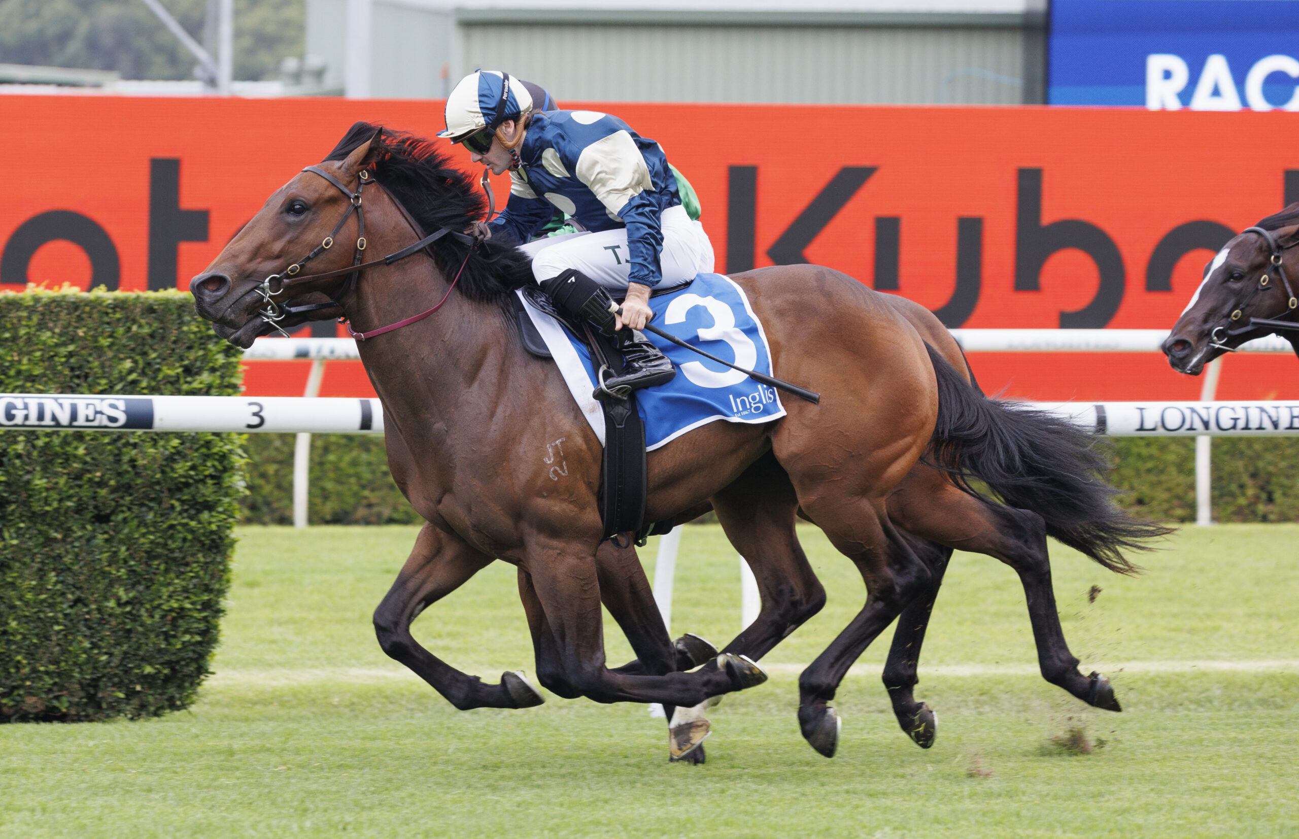 2025 Blue Diamond Preview Day Tips & Preview - Neds Blog
